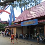 busch-gardens-tampa-047