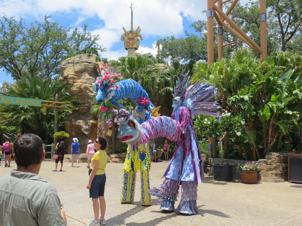 busch-gardens-tampa-052