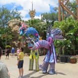 busch-gardens-tampa-052