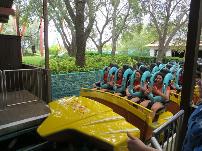 busch-gardens-tampa-058