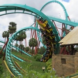 busch-gardens-tampa-062