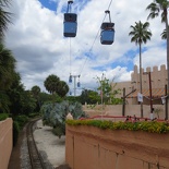 busch-gardens-tampa-063