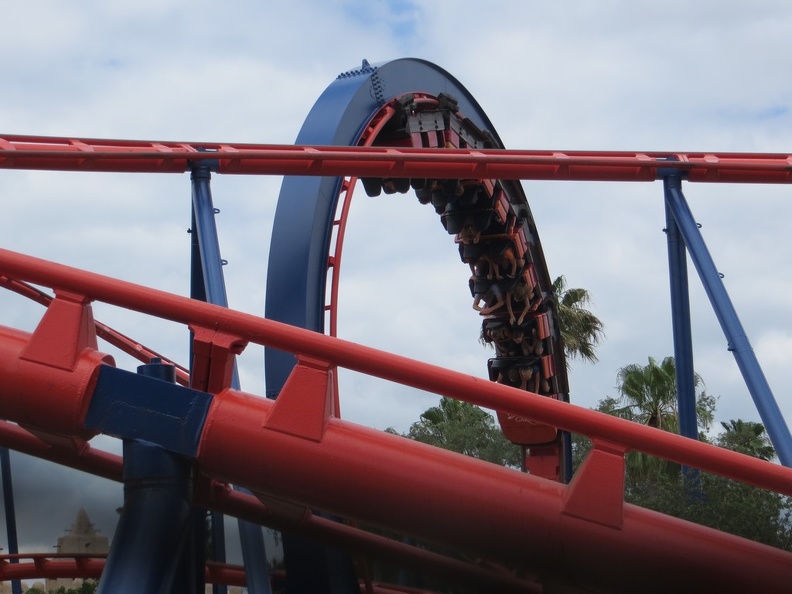 busch-gardens-tampa-070