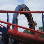 busch-gardens-tampa-070.jpg