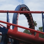 busch-gardens-tampa-070