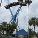 busch-gardens-tampa-072