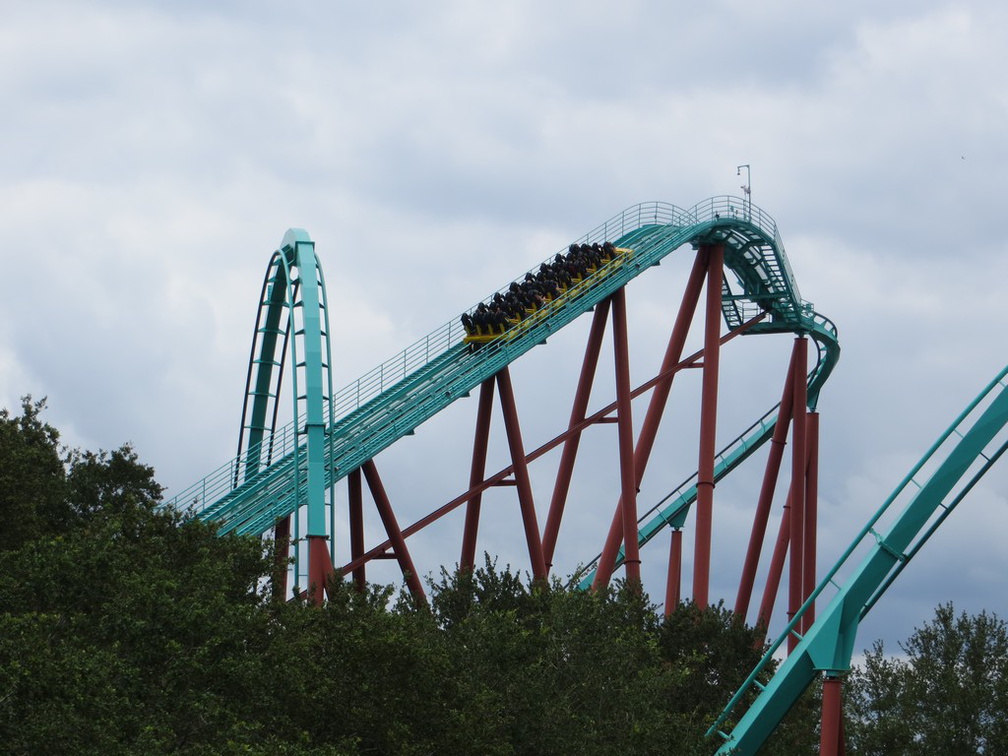 busch-gardens-tampa-076