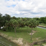 busch-gardens-tampa-079