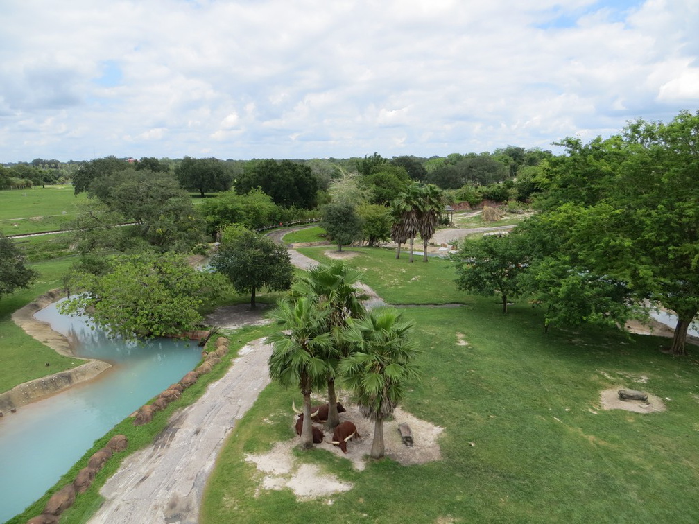 busch-gardens-tampa-081