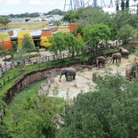 busch-gardens-tampa-082