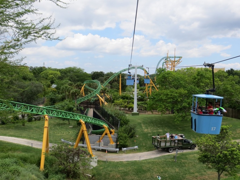 busch-gardens-tampa-083