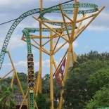 busch-gardens-tampa-086