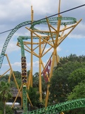 busch-gardens-tampa-086