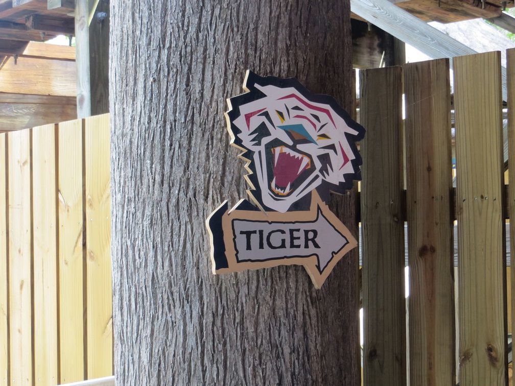 busch-gardens-tampa-090