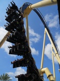 busch-gardens-tampa-096