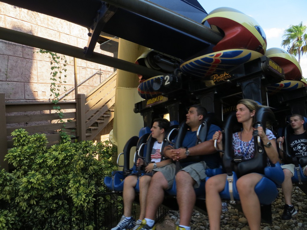 busch-gardens-tampa-097