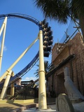 busch-gardens-tampa-101