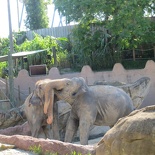 busch-gardens-tampa-109