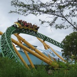 busch-gardens-tampa-011