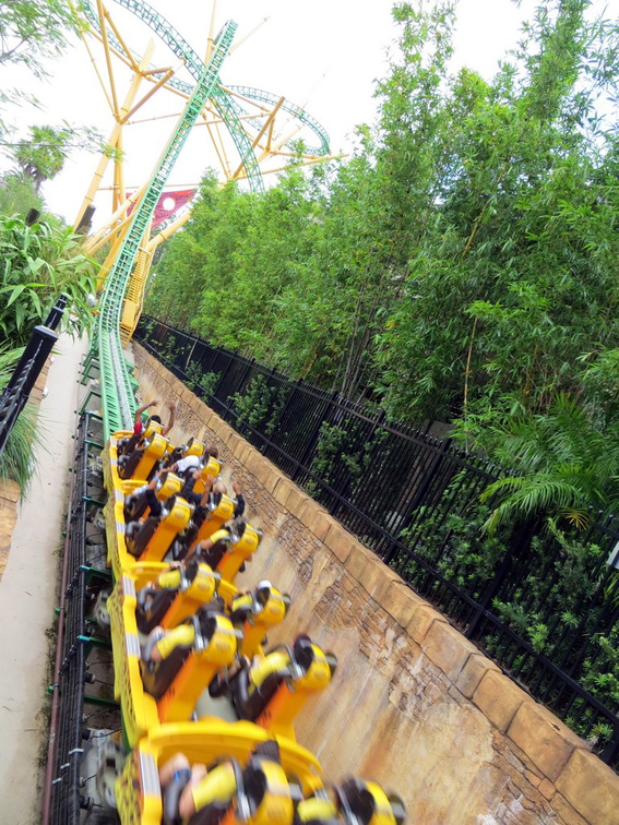 busch-gardens-tampa-013