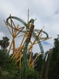 busch-gardens-tampa-014