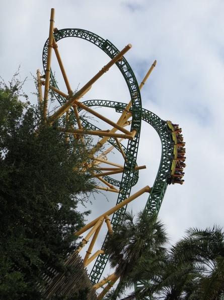 busch-gardens-tampa-015.jpg