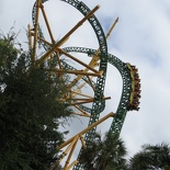 busch-gardens-tampa-015