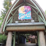 busch-gardens-tampa-016