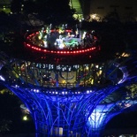 mbs-skypark-singapore-night-034