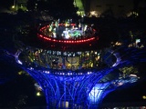 mbs-skypark-singapore-night-034
