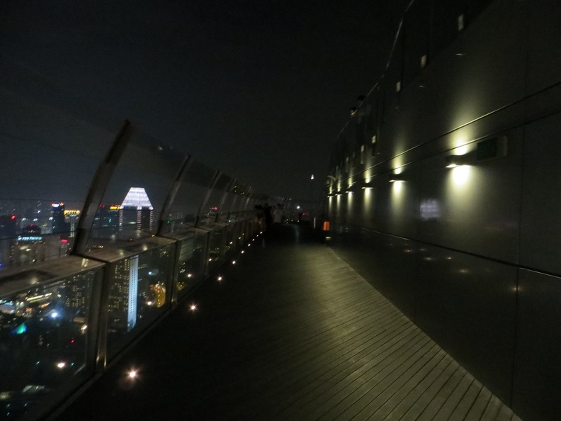 mbs-skypark-singapore-night-026