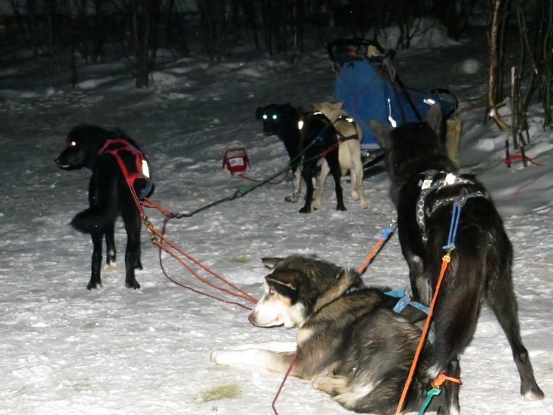 norway-tromso-husky-sledding-021.jpg