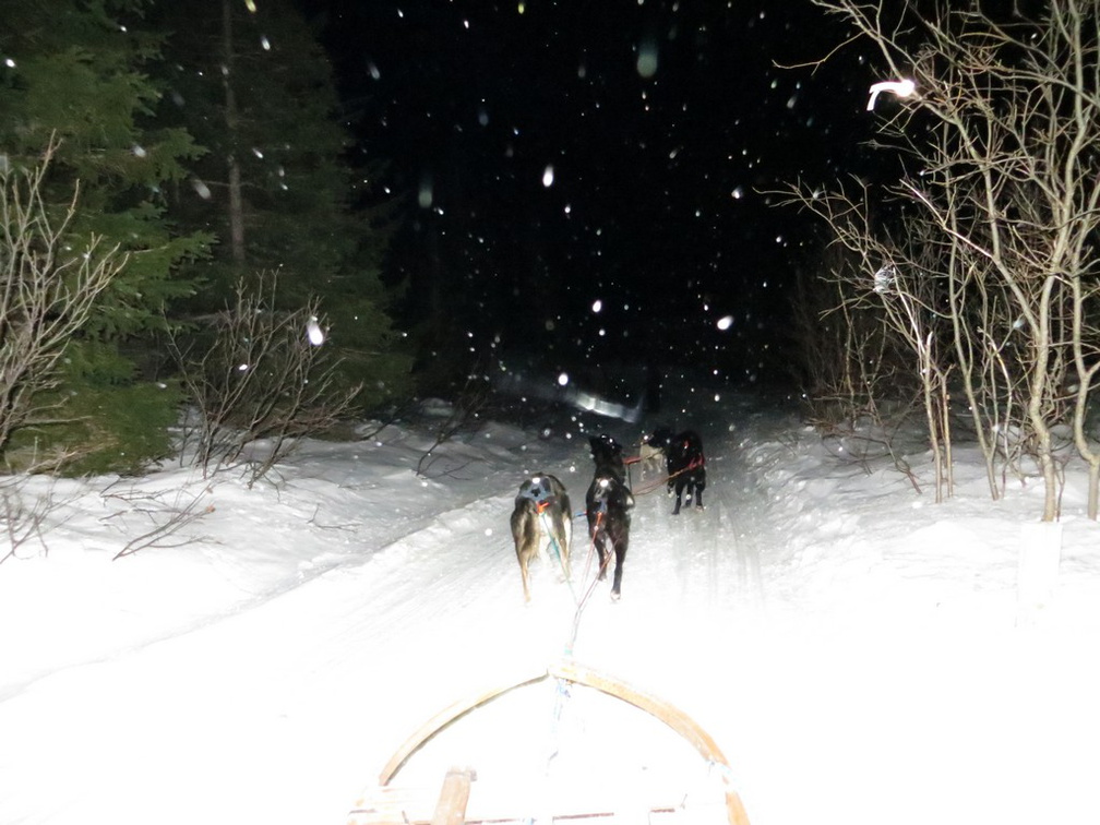 norway-tromso-husky-sledding-022