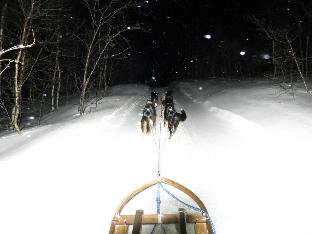 norway-tromso-husky-sledding-024