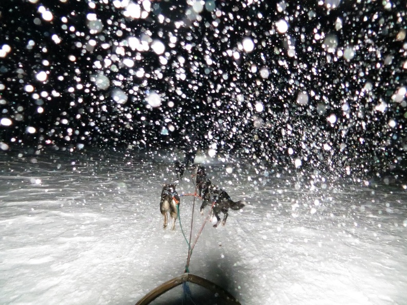 norway-tromso-husky-sledding-025