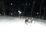 norway-tromso-husky-sledding-005
