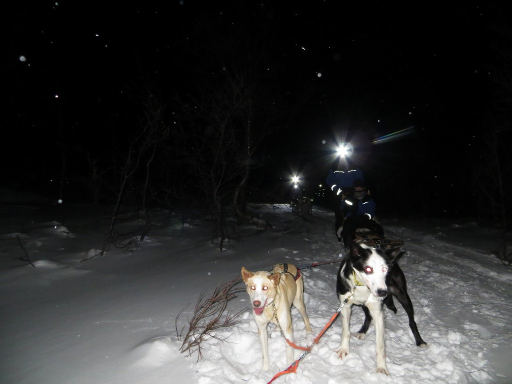 norway-tromso-husky-sledding-006