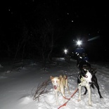 norway-tromso-husky-sledding-006