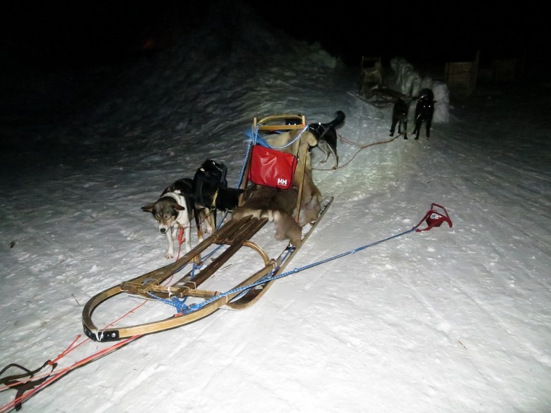 norway-tromso-husky-sledding-011.jpg