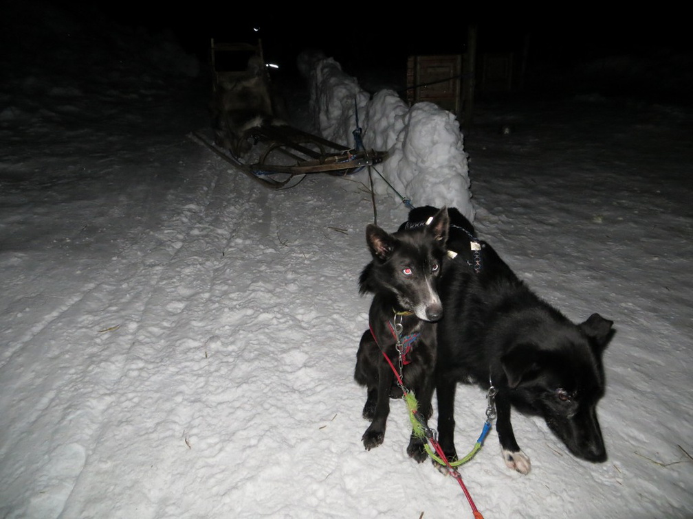 norway-tromso-husky-sledding-012