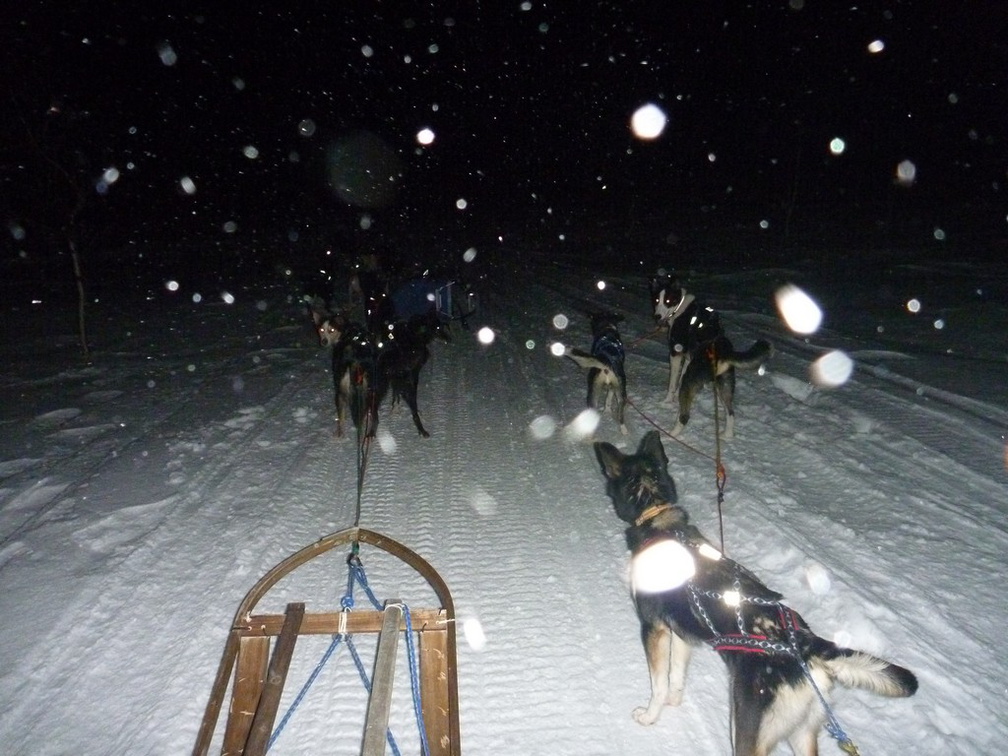 norway-tromso-husky-sledding-015