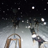 norway-tromso-husky-sledding-015