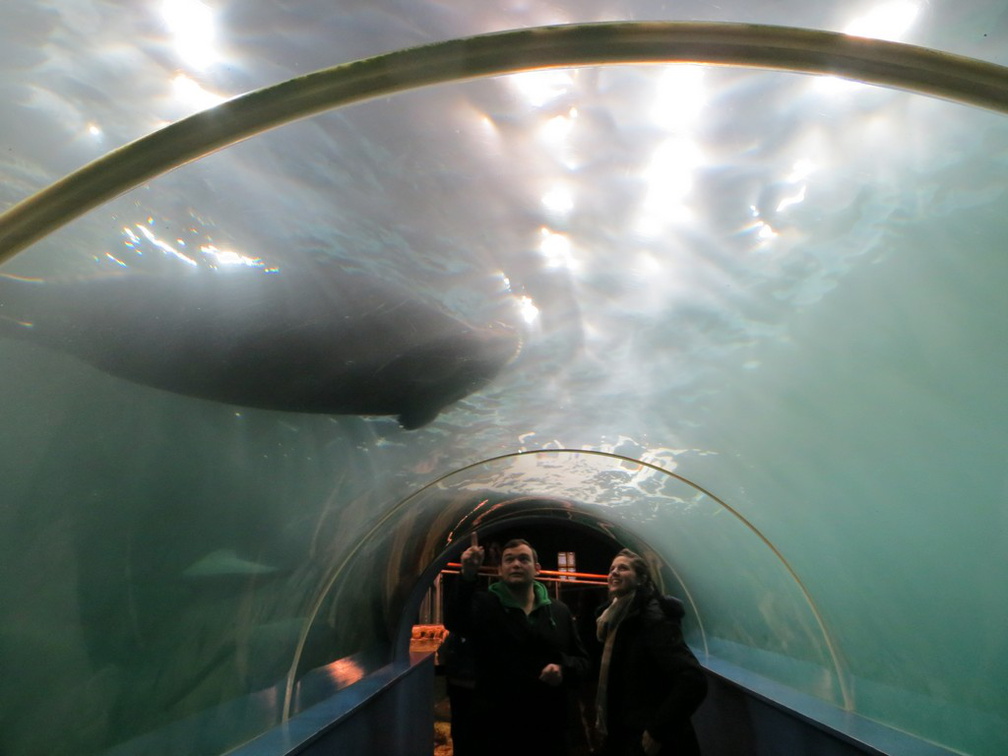 norway-tromso-polaria-aquarium-023