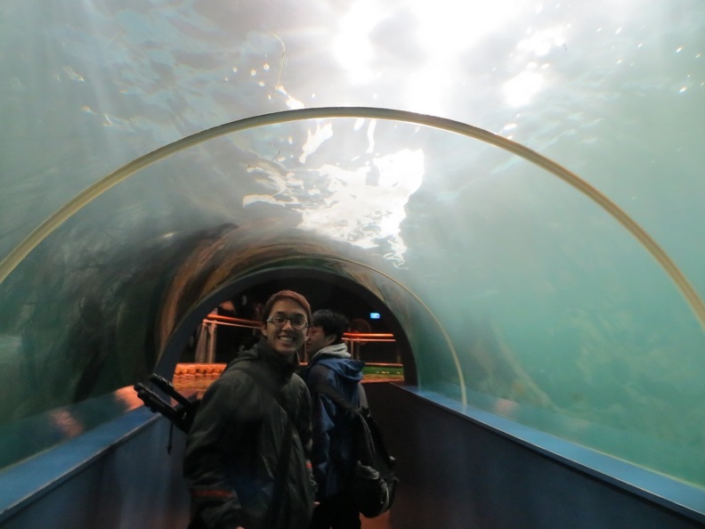 norway-tromso-polaria-aquarium-026