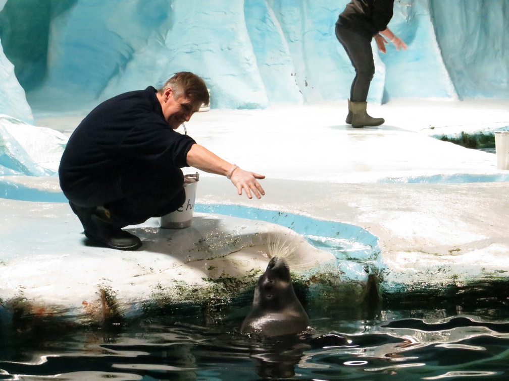 norway-tromso-polaria-aquarium-030