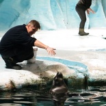 norway-tromso-polaria-aquarium-030