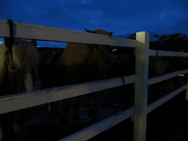 iceland-horse-ride-010.jpg