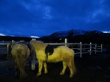 iceland-horse-ride-011