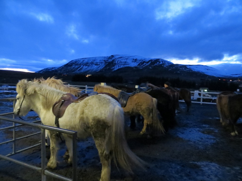 iceland-horse-ride-025