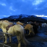 iceland-horse-ride-025